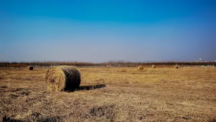 Winzinator Casino Mobiele App